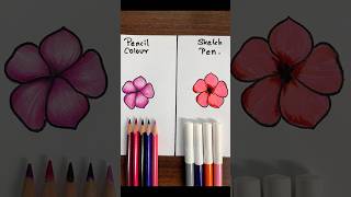 WHICH COLOUR IS THE BEST 😱 PENCIL vs SKETCH PENviral trending colour challenge shorts [upl. by Justinn111]