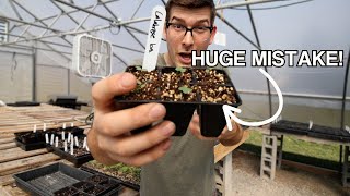 This Transplanting Tip BLEW MY MIND and Saved Me From Killing Plants [upl. by Ax]