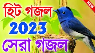 30 Bangla Sera Gojol 2023 নতুন গজল সেরা গজল New Bangla Gazal 2023 Ghazal Gojol Islamic Gazal [upl. by Normalie]