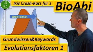 Evolution 1 Evolutionsfaktoren  Grundwissen  Übersicht  Training Wortschatz Keywords BioAbi [upl. by Naeloj]