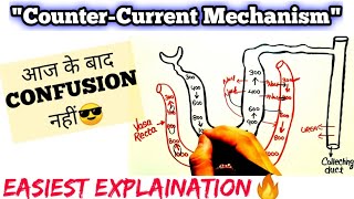 quotCounterCurrent Mechanismquot आज के बाद Confusion नहीं😎 Easiest Explaination🔥 Neet Confusion Series [upl. by Ydualc534]