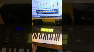 Novation Launchkey 37 This is Pure Madness  shorts [upl. by Nilloc]