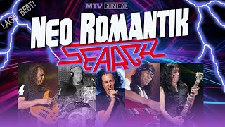 ▶ Neo Romantik  SEARCH [upl. by Brear548]