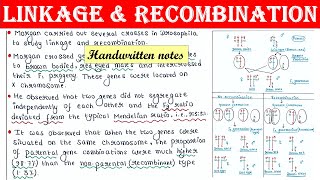 Linkage amp Recombination [upl. by Nerac]