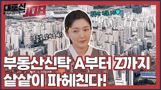 부동산 신탁의 모든 것을 알려줄게✨ 대토신JOB EP08 [upl. by Eillac]