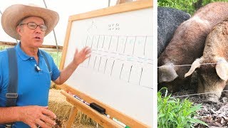 Joel Salatin Teaches Pasture Pigs for Profit [upl. by Dazhahs]