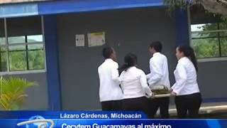 Lázaro Cárdenas Mich Cecytem Guacamayas al máximo Requiere tres aulas más [upl. by Langdon564]