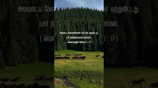 Seekram vara pogum song  Tamil christian song Ben Samuel  el roi [upl. by Kenward]