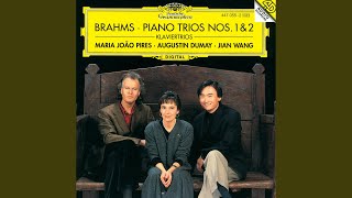 Brahms Piano Trio No 1 in B Major Op 8  IV Allegro [upl. by Ynneg]