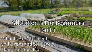 Allotments For Beginners Part 1 Allotment Gardening For Beginners Allotment Gardening UK [upl. by Giavani413]