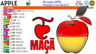 The Largest APPLE Producers in the World [upl. by Ayekal]