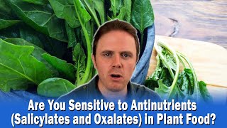 Are You Sensitive to Antinutrients Salicylates and Oxalates in Plant Food  Podcast 336 [upl. by Pergrim]