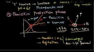 Penicillin production  industrial production [upl. by Bethany]