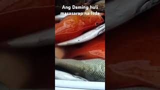 Masasarap na Isda Ang Nahuli fishing fishing fishingvideo fish fish viralvideo [upl. by Joshia]