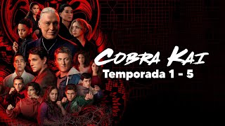 Cobra Kai TEMPORADA 1 AL 5 Resumen en 1 Video [upl. by Yntruoc732]