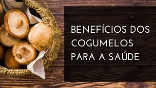 Os benefícios do cogumelo para a saúde [upl. by Acemaj]