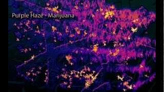 Binaural Beats  Marijuana High THC Beat Purple Haze Digital Drug [upl. by Anala320]