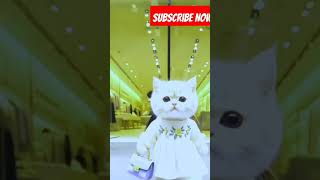 Kitty Enjoying🐈 tamil song music catart catshorts catstory [upl. by Czarra307]