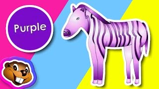 What Color is it Clip  Preschool Learning Video [upl. by Anilasor]