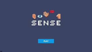 Educational Game SenseBeyond Boundaries [upl. by Cony]