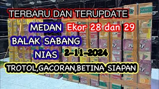 BONGKARAN TROTOL DAN GACORAN 2112024 [upl. by Aneris]