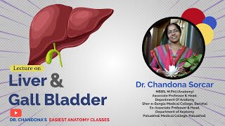 Lecture On Gross Anatomy Of The Liver amp Gall bladder [upl. by Anniala]