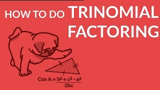 ʕ•ᴥ•ʔ Learn Trinomial Factoring with an Easy to Understand Example [upl. by Lais]