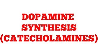 Catecholamines  Dopamine  Biochemistry [upl. by Massingill708]