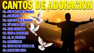 PODEROSAS CANCIONES CRISTIANAS PARA LIBERAR TU MENTE Y EL CORAZÓN 🕊️🕊️ SUPE QUE ME AMABAS 🙏🙏 [upl. by Tjader]