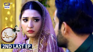 Shehnai 2nd Last Episode 25 Subtitle Eng  8th August 2021  ARY Digital Drama [upl. by Benilda]