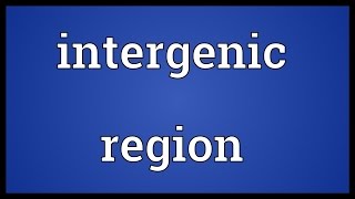 Intergenic region Meaning [upl. by Ziza]