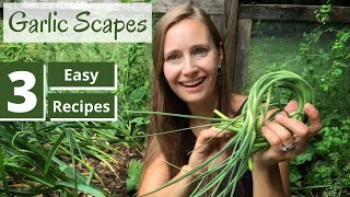 Harvesting Garlic Scapes  Easy Garlic Scape Recipes [upl. by Owiat]