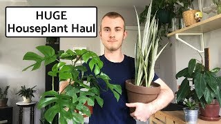 HUGE Houseplant Haul  September 2018 [upl. by Marelya]