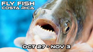 Costa Rica Hosted Trip Tarpon and Machaca October 27  November 3 [upl. by Spiegleman]