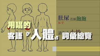 通盤請 客語『人體』常用詞彙總複習 [upl. by Chaffinch]