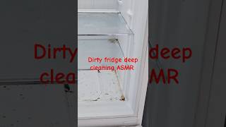 ASMR Realistic deep cleaning of a dirty fridge shortsvideo shortfeed cleaning [upl. by Tichon371]