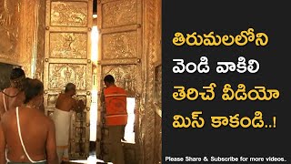 Tirumala Sri Venkateswara Swamy Temple Vendi Vakili Opening [upl. by Doss]