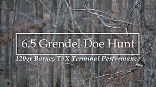 65 Grendel and Barnes 120gr TSX Terminal Performance on Deer [upl. by Llewellyn]