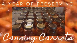 Canning Carrots • Plain Glazed Orange Pickled and Spicy Carrots • A Years Carrots [upl. by Iba870]