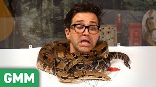 Trapped in a Snake Tank Pt 2 6ft Boa Constrictor [upl. by Kellby]