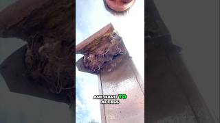 Avoid Dryer Vent Damage diy [upl. by Suirtemid180]