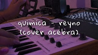 Reyno  Química Cover x lalo [upl. by Rothwell]