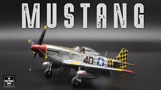 P51 MUSTANG  AIRCRAFT MODEL KIT FULL BUILD  EDUARD 172 SCALE [upl. by Ratha]