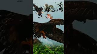 Falcon attack😂birds😂shortsvideotreding video viraljaya Patel😂🙏 [upl. by Ileane]