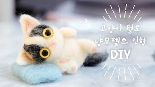 고양이 털로 냥모펠트 DIY 쵸비인형 [upl. by Blasius]