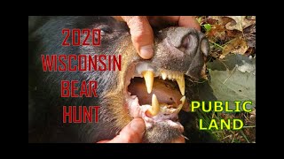 Bear Hunt Wisconsin 2020 [upl. by Nimajaneb188]