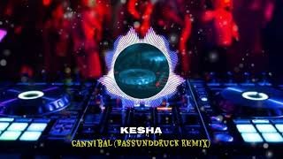 Kesha  Cannibal BASSUNDDRUCK REMIX [upl. by Bal]