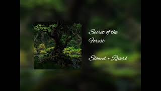 Chrono Trigger  Secret of the Forest slowed  reverb [upl. by Atinauq]