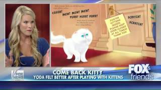 Beth Stern on Yoda The Story of a Cat and His Kittens [upl. by Airdnas503]