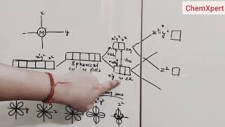 Crystal field in Square planar  octahedral and tetrahedral complexes  Class 12 Chemistry NCERT [upl. by Anawak]